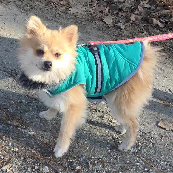 Welcome to The Pampered Boutique! - Picture 1 of 8